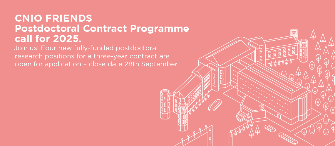 Convocatoria Postdoctoral “Amigos/as del CNIO”
