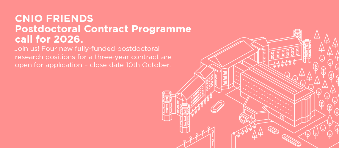 Postdoctoral Contract “CNIO Friends”