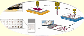 Tissue MicroArrays