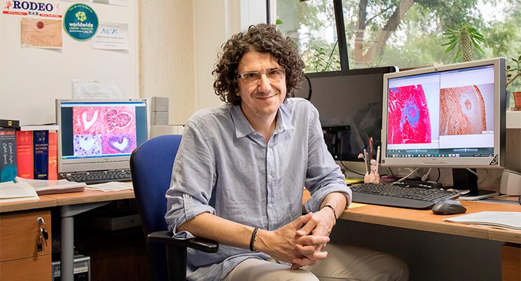 Marcos Malumbres, head of the Cell Division and Cancer Group at the CNIO