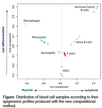 Figure: Distribution of blood cell samples according to their epigenomic profiles produced with the new computational method