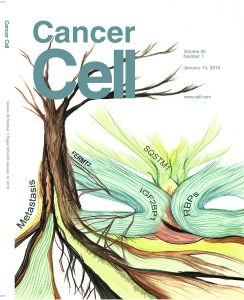 Cancer Cell cover January 2019