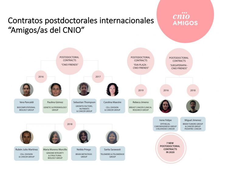 Contratos postdoctorales Amigos/as del CNIO