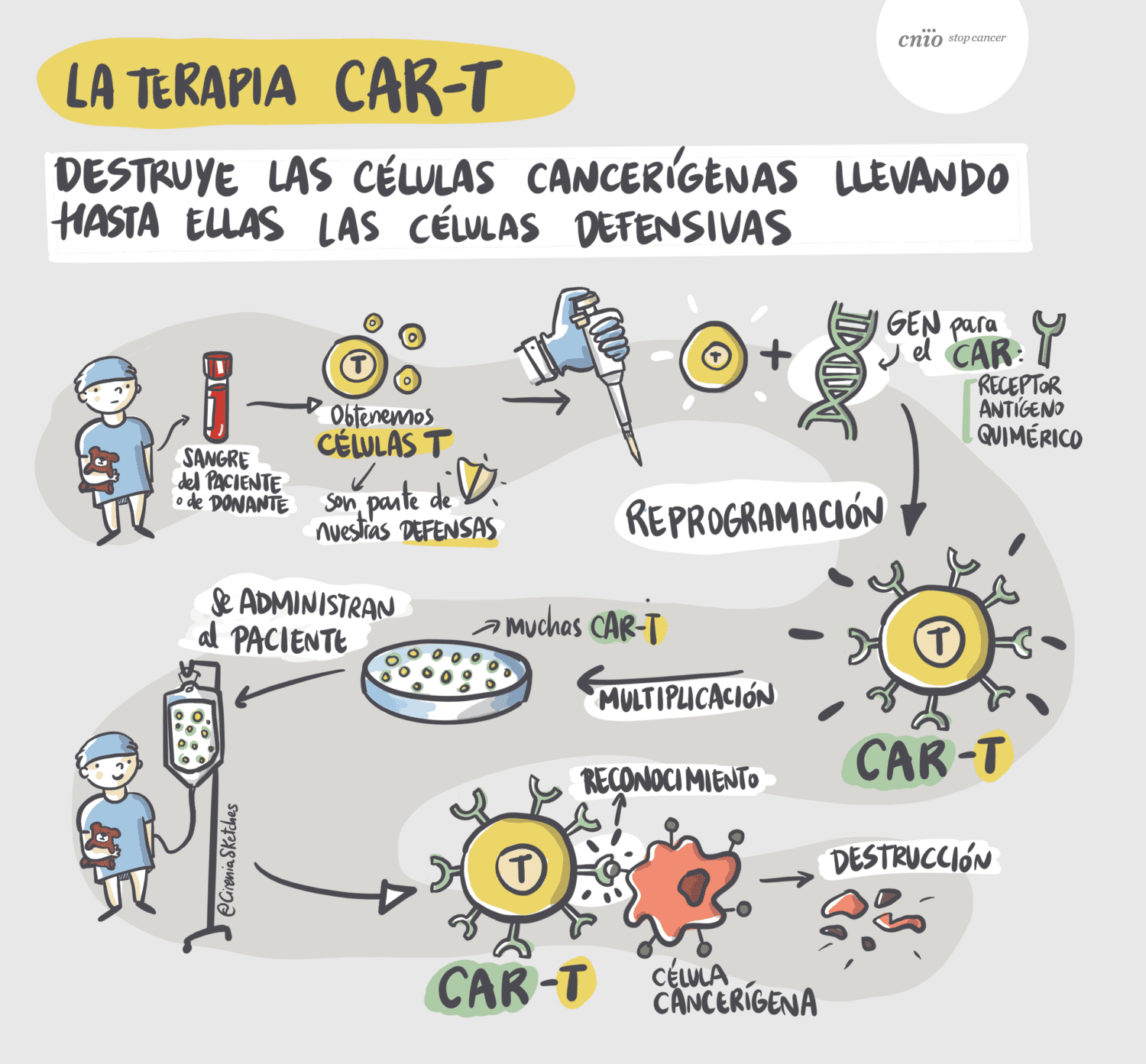 Infografía terapias celulares CAR-T: @CireniaSketches