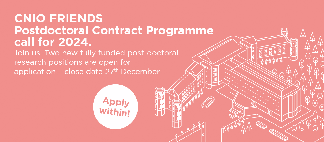 Convocatoria Postdoctoral “Amigos/as del CNIO”