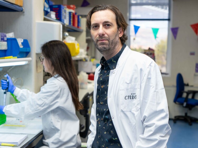 El investigador del CNIO Alejo Efeyan, en su laboratorio. / Christian Esposito.Madmoviex.CNIO