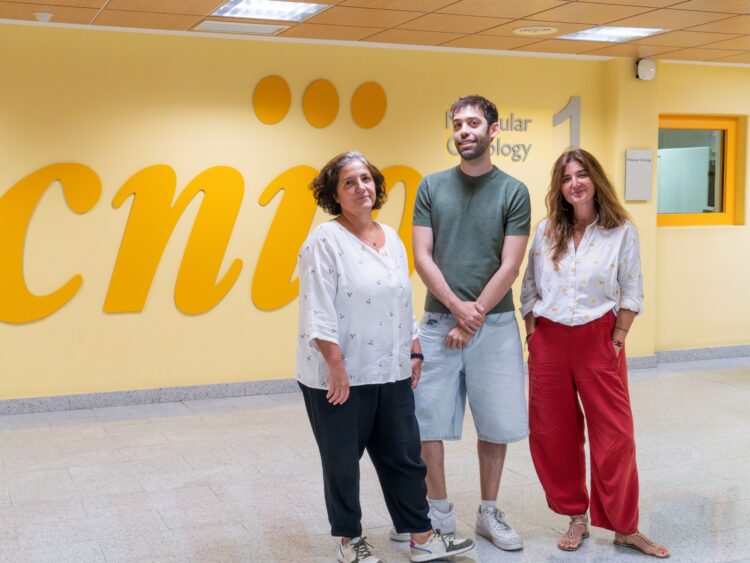 From left: CNIO researchers Ana Losada, Daniel Giménez and Ana Cuadrado. /MadMoviex. CNIO