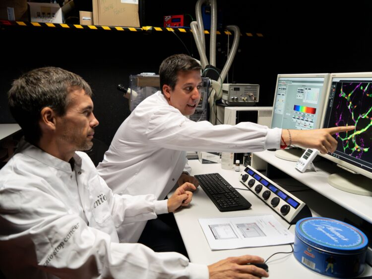 From left: CNIO researchers Manuel Valiente and Pedro García-Gómez at the Spanish National Cancer Research Centre (CNIO). /MadMoviex.CNIO