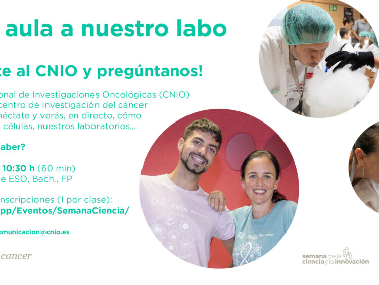 'De tu aula a nuestro labo', un encuentro virtual del CNIO, para estudiantes de ESO, Bachillerato y FP, con motivo de la Semana de la Ciencia y la Innovación 2026.