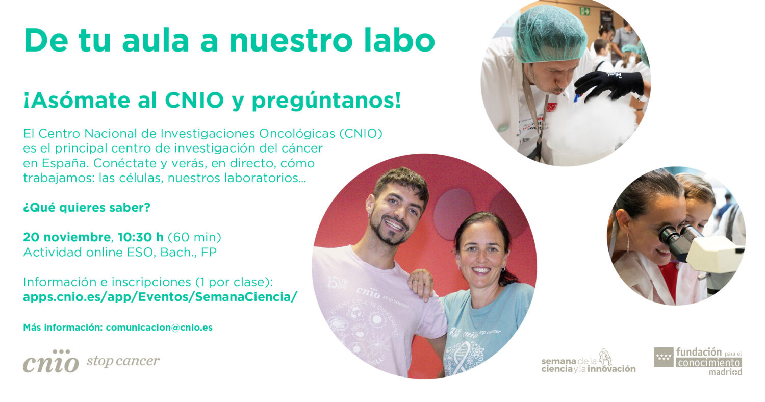 'De tu aula a nuestro labo', un encuentro virtual del CNIO, para estudiantes de ESO, Bachillerato y FP, con motivo de la Semana de la Ciencia y la Innovación 2026.